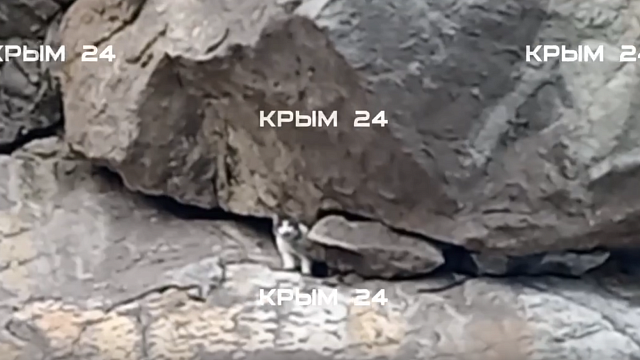 Фото: Крым24