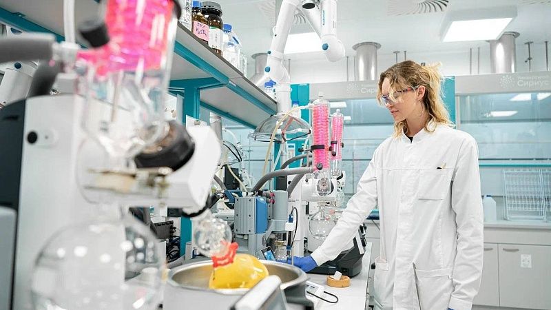 На реализацию научных проектов власти Сириуса выделят 1,1 млрд руб в Сочи