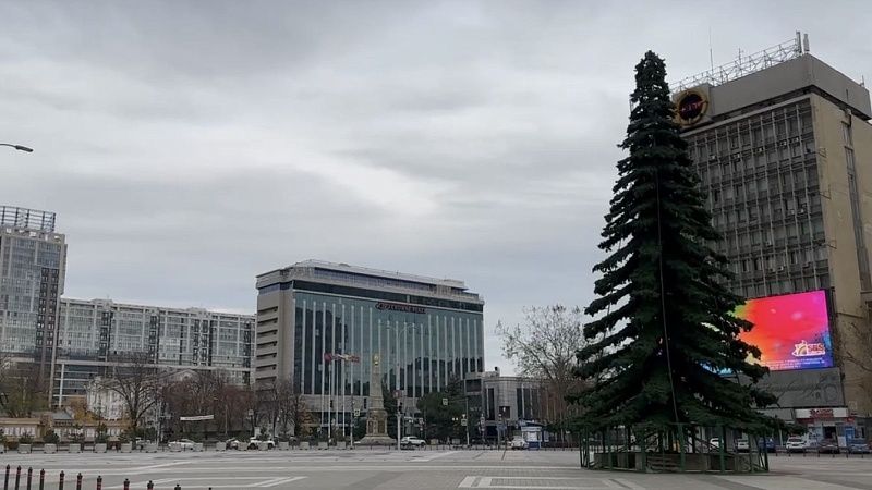 На центральной площади Краснодара установили ёлку
