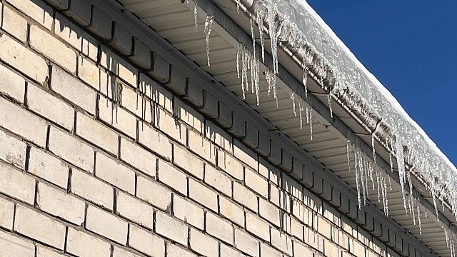 Фото: телеканал «Краснодар»