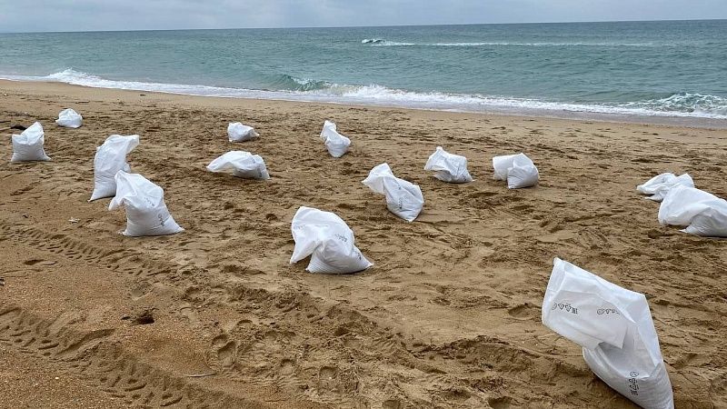 С морского дна собрали 48 мешков с мазутом в акватории Анапы 20 марта