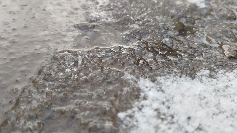 Казак спас упавшую в ледяное озеро собаку в Апшеронском районе