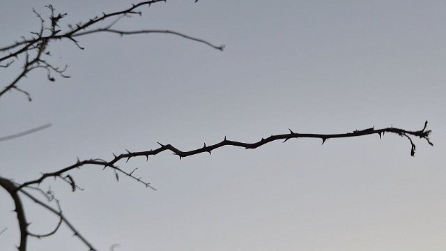 Фото: телеканал «Краснодар»