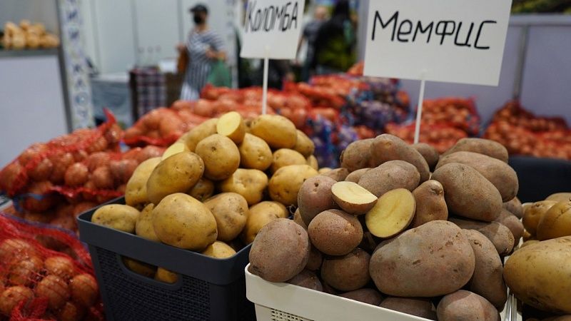 Диетолог Соломатина объяснила, почему не стоит совмещать картофель с грибами