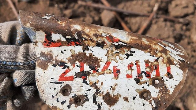 Фото: t.me/Rosprirodnadzor_official