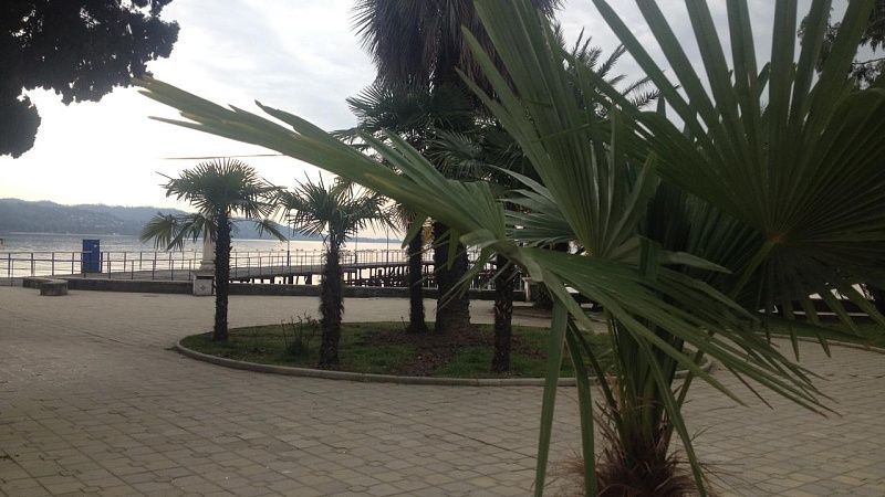 Новые факты давления на граждан России во время выборов зафиксированы в Абхазии