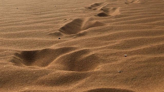 Фото: телеканал «Краснодар»