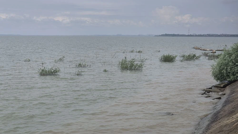 В розыск объявили водителя отрезавшего голову дайверу катера в Ленобласти