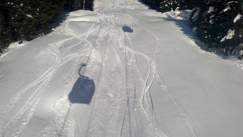 Мальчик на «ватрушке» вылетел в овраг и разбился насмерть во Владимире