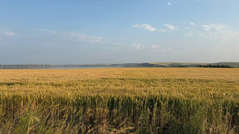 Председатель ЗСК Бурлачко предупредил о необходимости сохранять черноземы Кубани