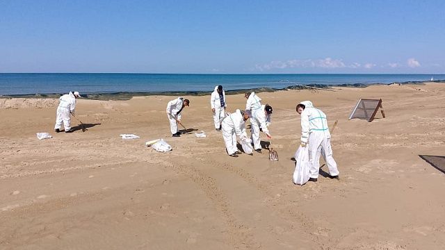 Новых выбросов мазута не обнаружили на пляжах Анапы 11 мая