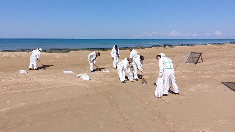 Новых выбросов мазута не обнаружили на пляжах Анапы 11 мая