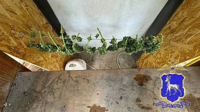 Фото: ГУ МВД России по Самарской области