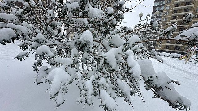 Фото: телеканал «Краснодар»