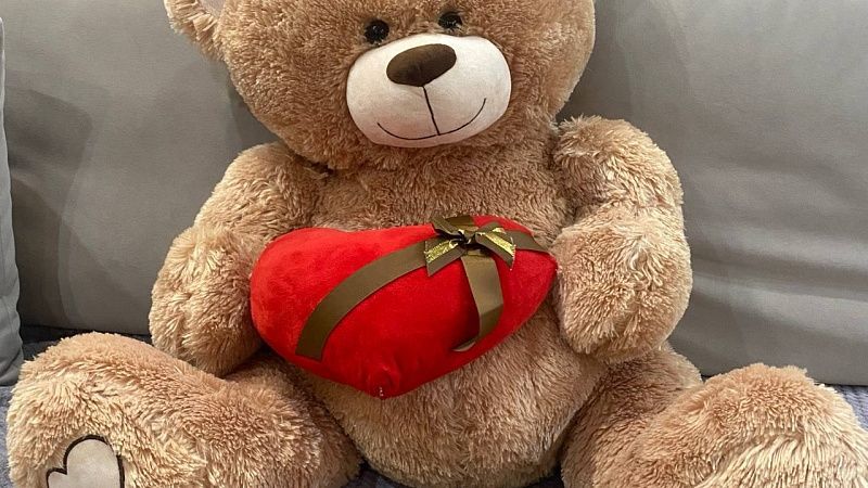 С помощью мягкой игрушки выследил и убил бывшую возлюбленную житель Японии