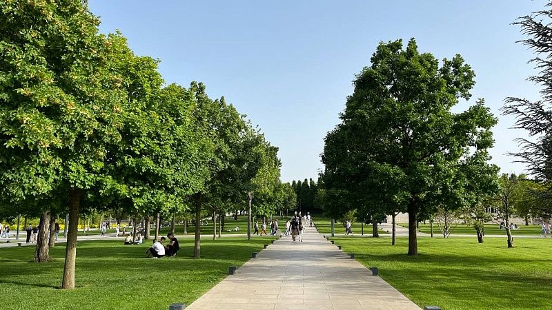 Последние дни августа будут аномально жаркими на Кубани