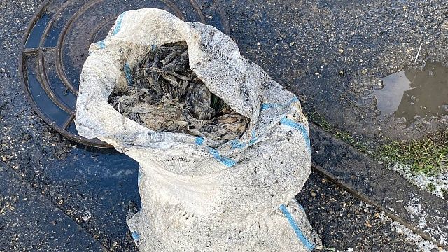 Стартует летняя ремонтная кампания в Росводоканал Краснодар