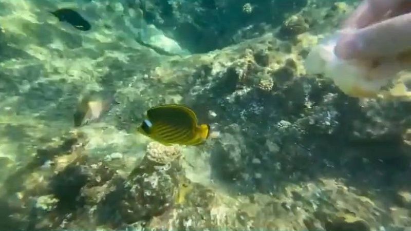 Мальчик поймал чукучана и установил уникальный рекорд в США