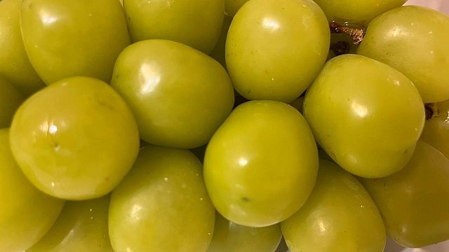 Россельхознадзор нашел вредителя в 22 тоннах турецкого винограда в порту Туапсе