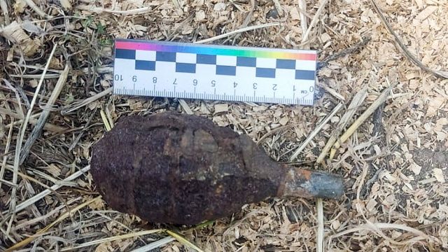 фото: https://t.me/rosgvard_krasnodar