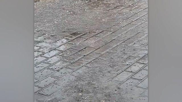 Фото: телеканал «Краснодар»