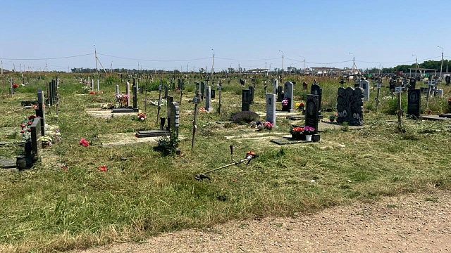 После вмешательства прокуратуры выкосили сорняки на кладбище в хуторе Копанском