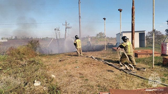 Вдоль автодороги М- 4 Дон загорелась трава