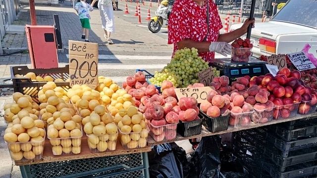 Фото: t.me/police_sochi