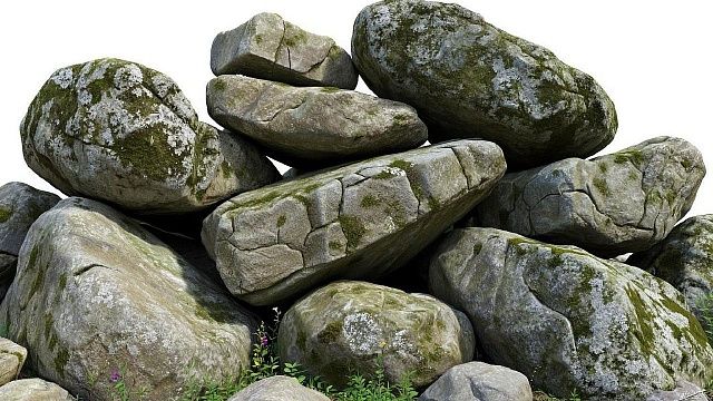 Учёные нашли редкие геометрические узоры на скорлупе страусиных яиц в Африке