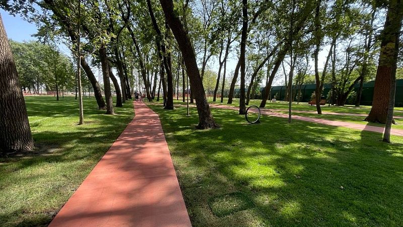 Разрешение минприроды потребуется для обновления парков в Краснодаре