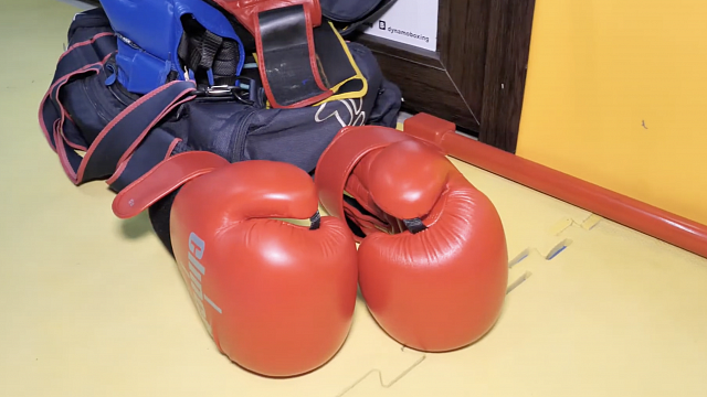 Профессиональные боксеры проведут мастер-классы для краснодарцев ко Дню России. Фото: телеканал «Краснодар»