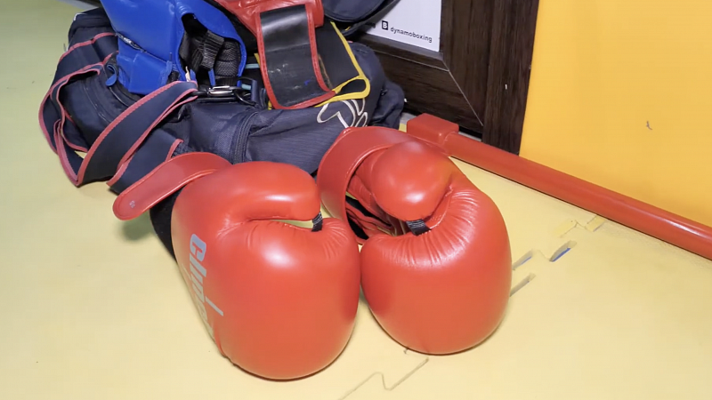 Профессиональные боксеры проведут мастер-классы для краснодарцев