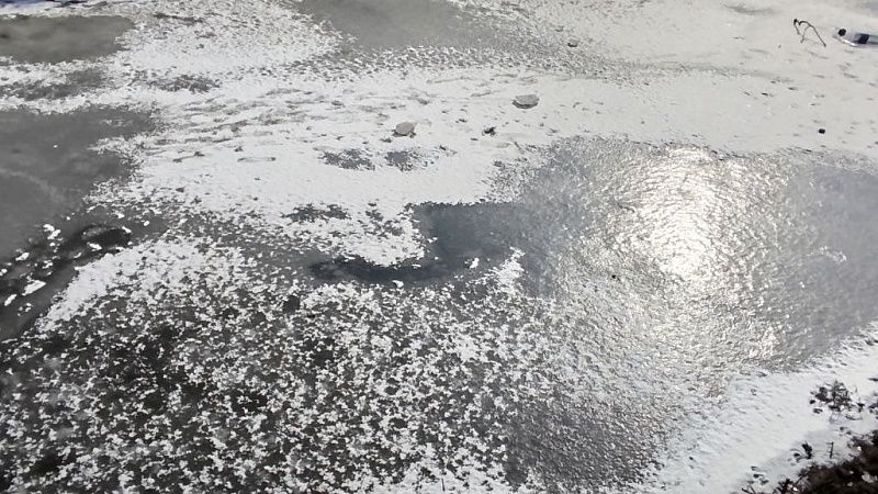 Долгожданное весеннее потепление придет на Кубань вместе с календарной весной