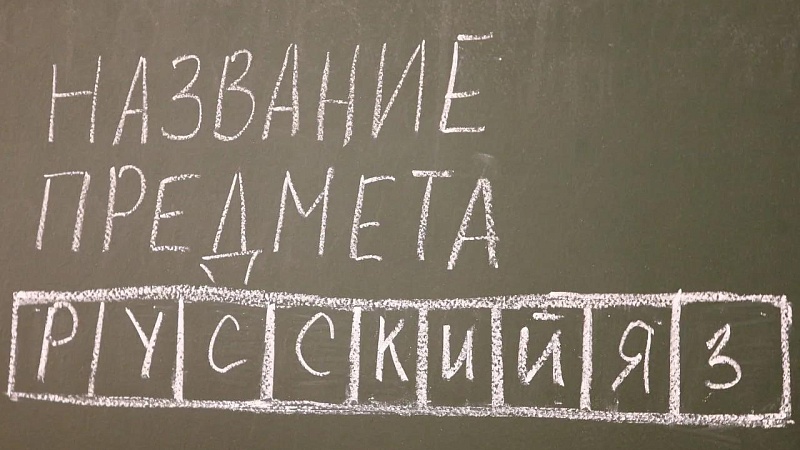 Выпускница рассказала, как сдала два ЕГЭ на 100 баллов в Новосибирске