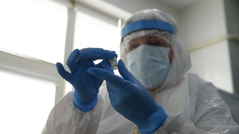 Разносимые летучими мышами вирусы могут грозить новыми всемирными эпидемиями