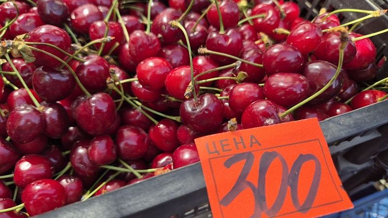 Садоводы назвали сроки появления местной черешни на Кубани