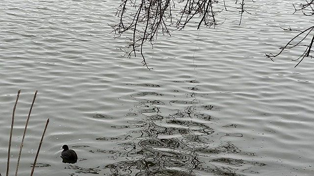 Фото: телеканал «Краснодар»