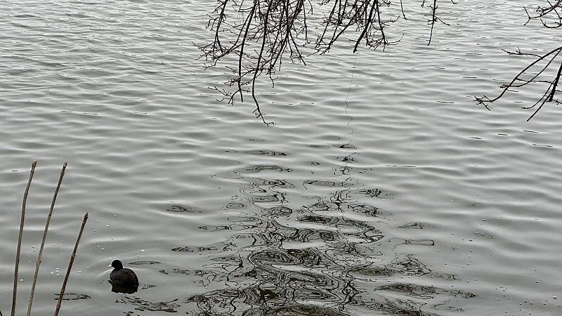 Полумертвую женщину «оживили» спасатели в реке Яуза в Московской области 