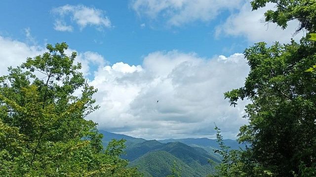 Фото: телеканал «Краснодар»