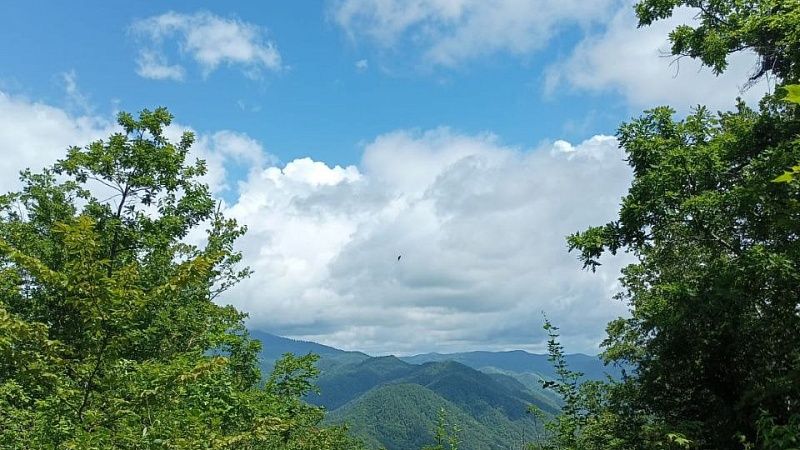 Оголившаяся для фото туристка разозлила жителей Дагестана