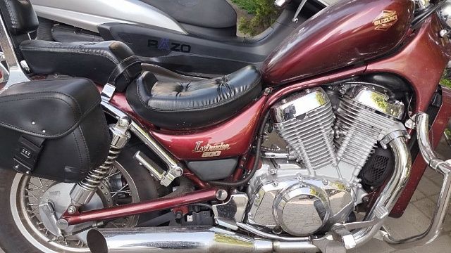 Сорвавшийся со скалы белорусский мотогонщик выжил в Геленджике