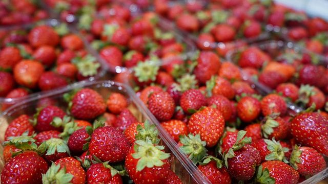 Кубанские фермеры привезли сезонные ягоды и фрукты на ярмарки выходного дня в Краснодаре