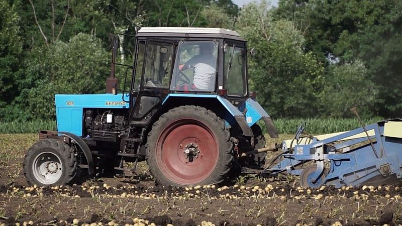 Новые правила восстановления земель введут на Кубани 