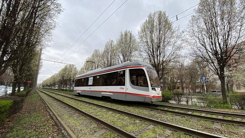 Евгений Наумов поздравил сотрудников общественного транспорта в Краснодаре