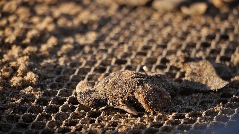 Специальные противомазутные валы защитят 32 км берега в Анапе