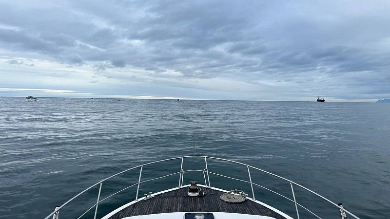 Учёные обнаружили подлёдную реку с креветками в Антарктиде