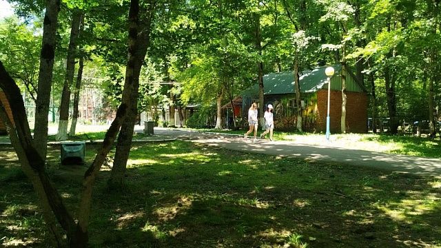 Фото: телеканал «Краснодар» 