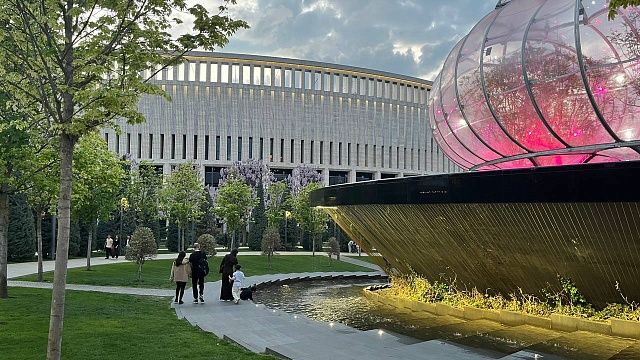 В зимнюю «одежду» начали укутывать экзотические деревья в парке «Краснодар» 