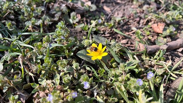 Фото: телеканал «Краснодар»