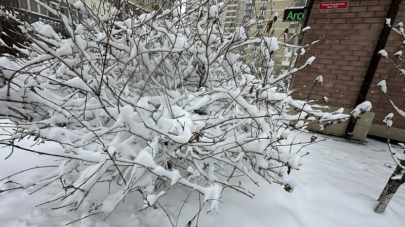 Занятия для школьников отменили из-за сильных морозов в Челябинске 